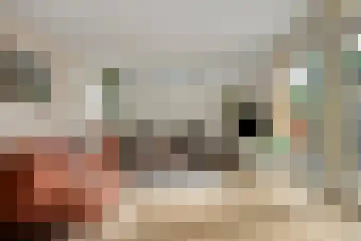 Paradijsvogelhof 11 Hilversum thumbnail 16