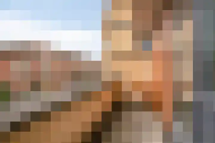 Paradijsvogelhof 11 Hilversum thumbnail 27