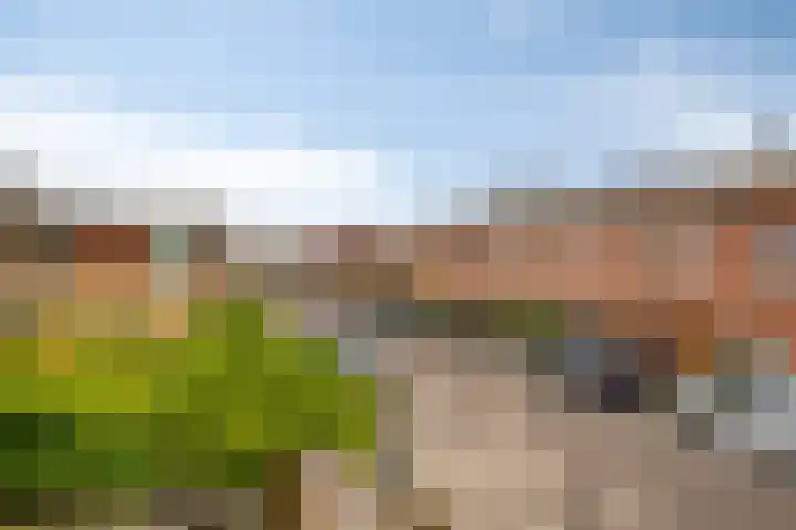 Paradijsvogelhof 11 Hilversum thumbnail 28
