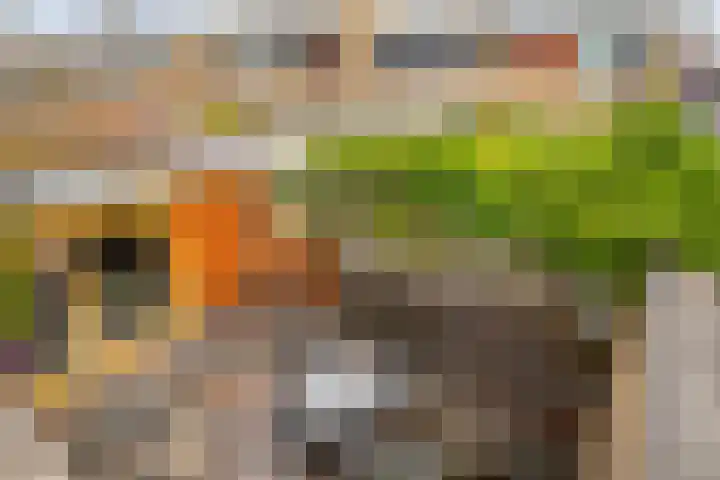 Paradijsvogelhof 11 Hilversum thumbnail 29