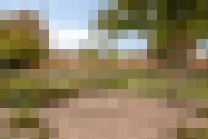 Paradijsvogelhof 11 Hilversum thumbnail 35