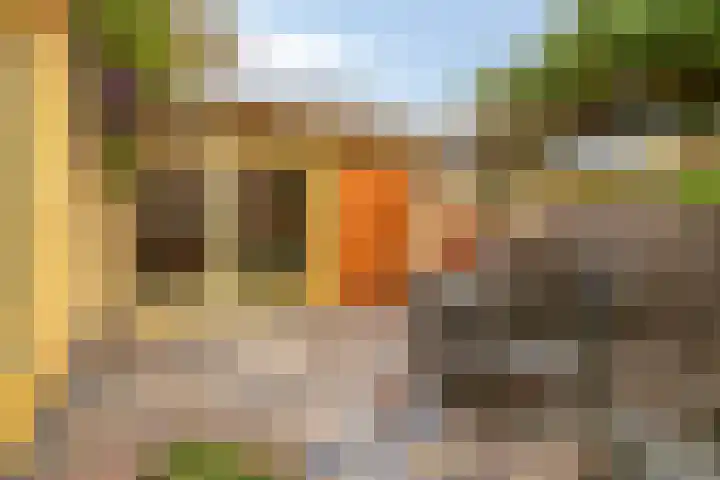 Paradijsvogelhof 11 Hilversum thumbnail 4