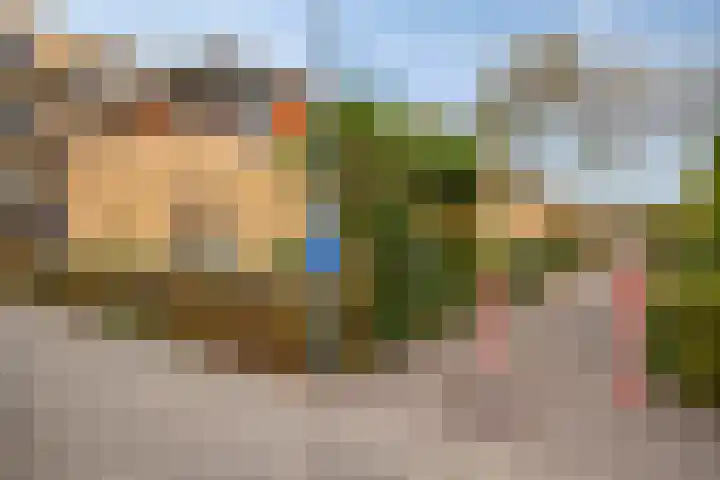 Paradijsvogelhof 11 Hilversum thumbnail 5