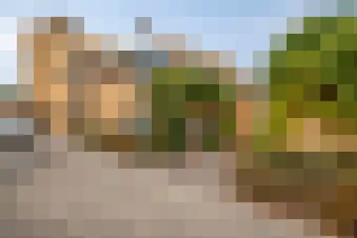 Paradijsvogelhof 11 Hilversum thumbnail 6