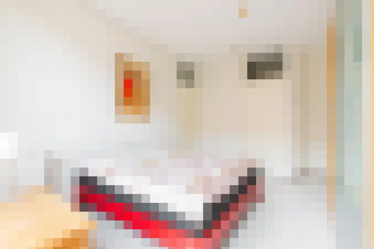 Paradijsvogelstraat 19 Groningen thumbnail 14