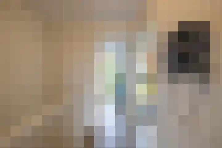 Paradijsvogelstraat 33 Groningen thumbnail 18
