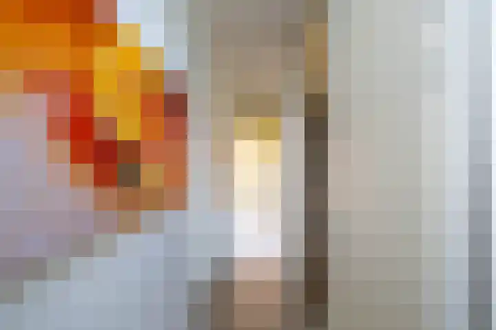 Paradijsvogelstraat 33 Groningen thumbnail 31