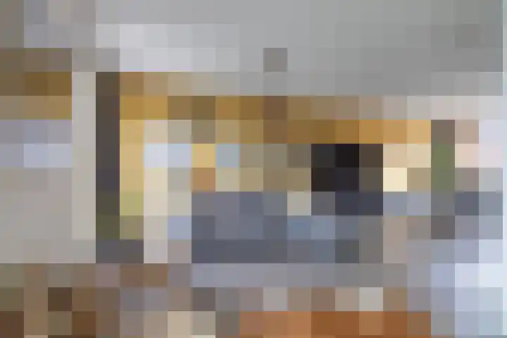 Paradijsvogelstraat 33 Groningen thumbnail 4