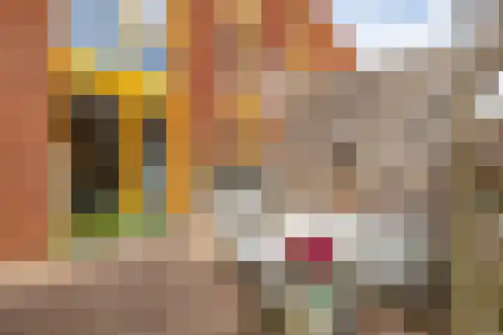 Paradijsvogelstraat 33 Groningen thumbnail 47