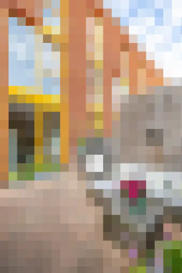 Paradijsvogelstraat 33 Groningen thumbnail 48