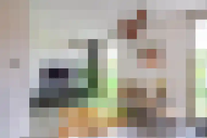 Paradijsvogelstraat 33 Groningen thumbnail 5