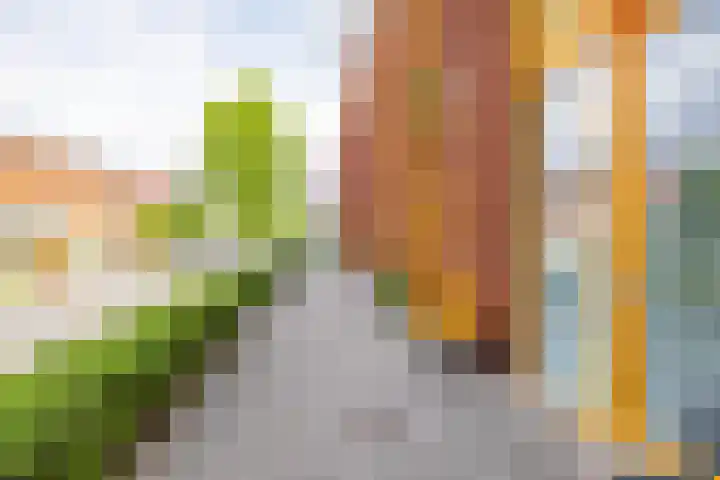Paradijsvogelstraat 33 Groningen thumbnail 52