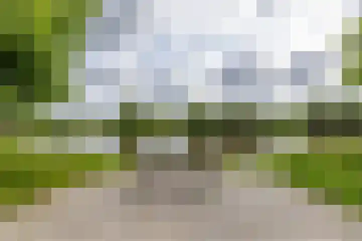 Paradijsvogelstraat 33 Groningen thumbnail 55