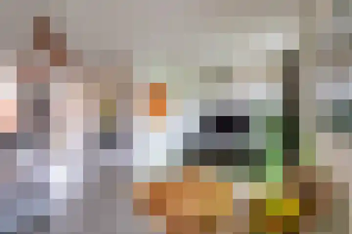 Paradijsvogelstraat 33 Groningen thumbnail 6