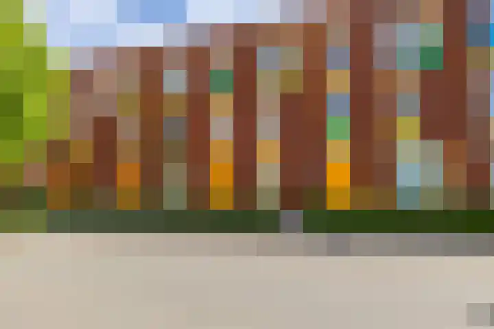 Paradijsvogelstraat 33 Groningen thumbnail 62