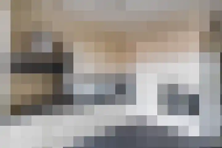 Paradijsvogelstraat 33 Groningen thumbnail 9