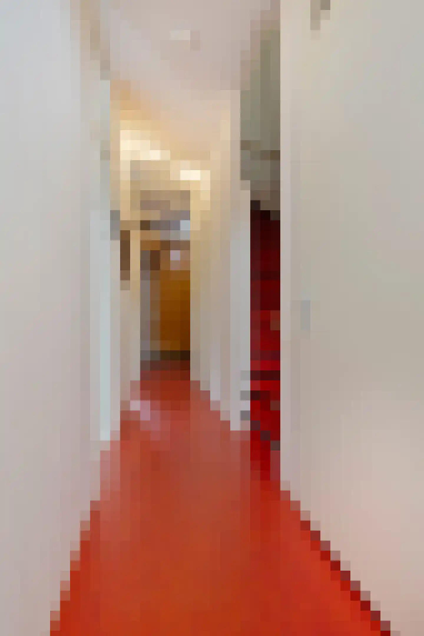 Paradijsvogelstraat 41 Groningen thumbnail 16
