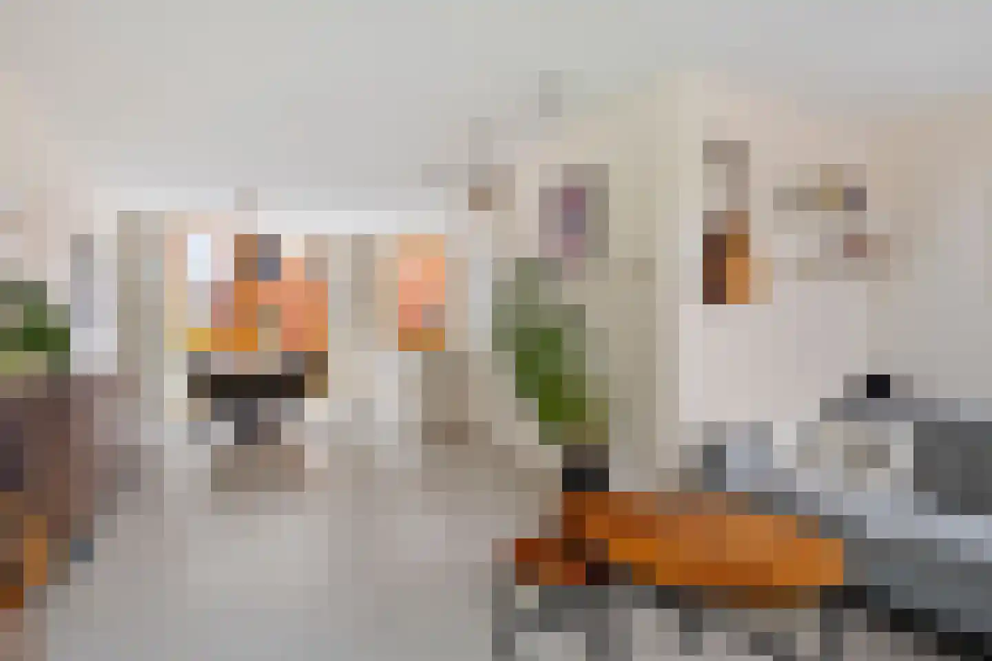 Paradijsvogelstraat 41 Groningen thumbnail 29