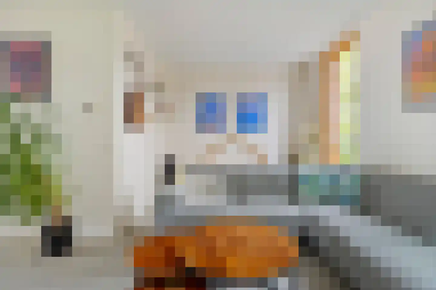 Paradijsvogelstraat 41 Groningen thumbnail 33