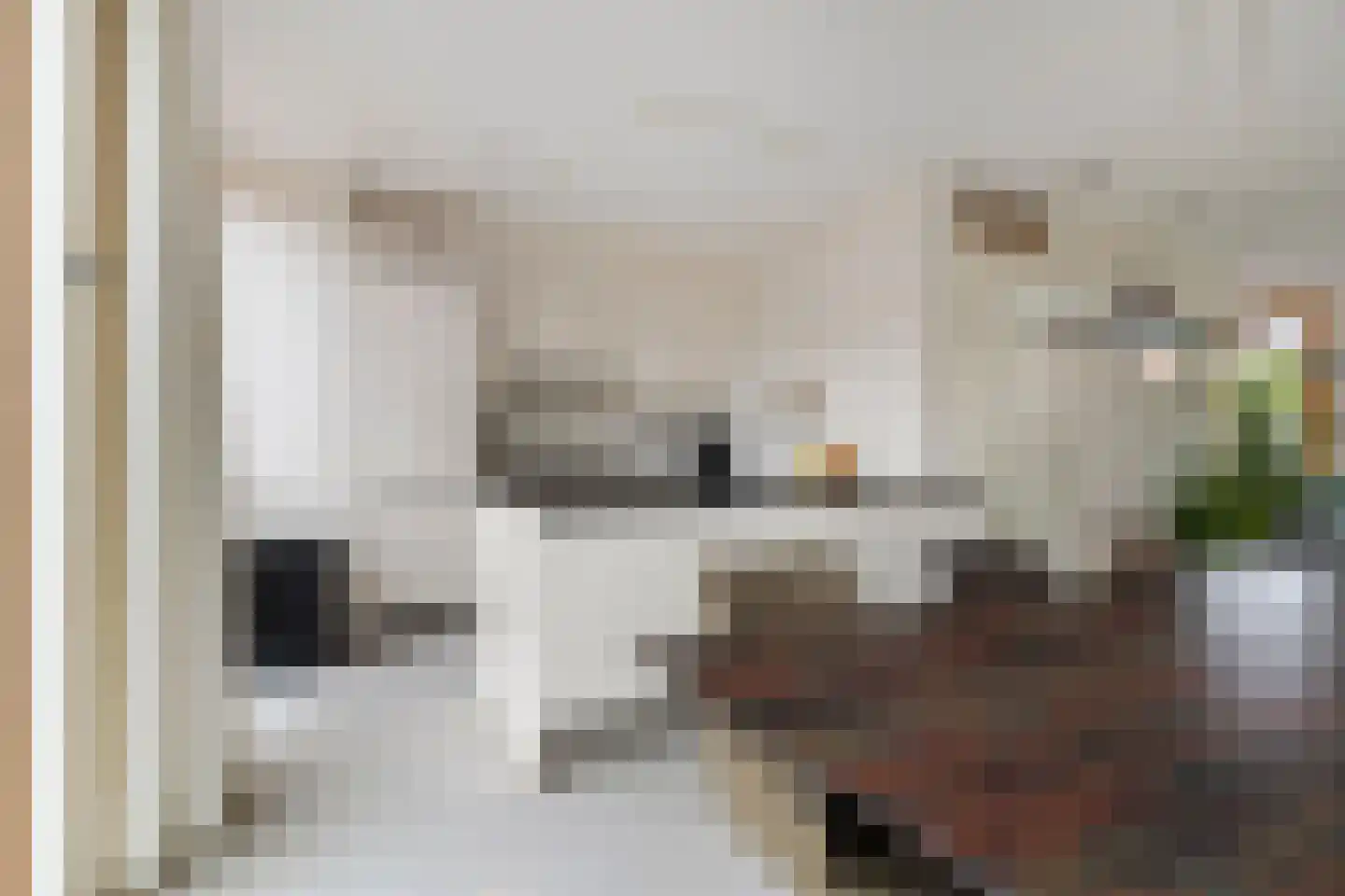 Paradijsvogelstraat 41 Groningen thumbnail 36