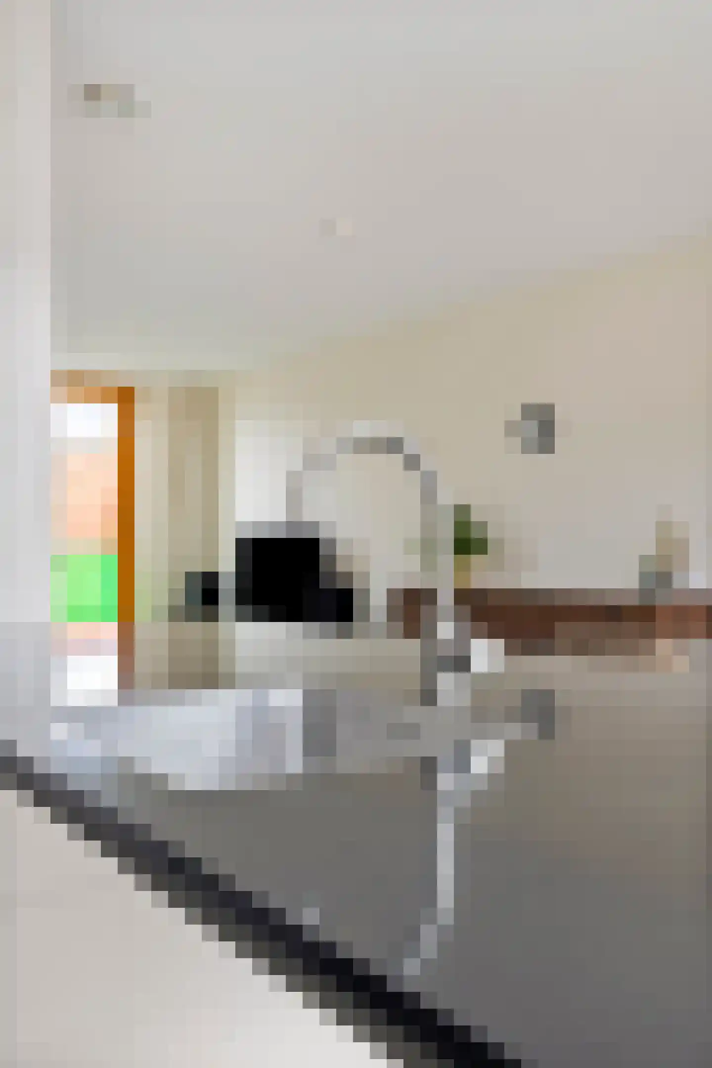 Paradijsvogelstraat 41 Groningen thumbnail 41