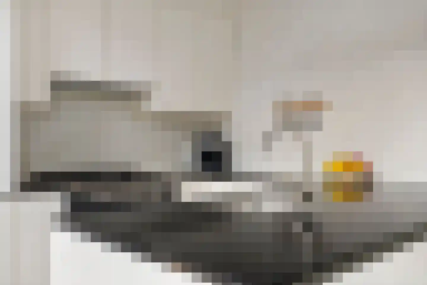 Paradijsvogelstraat 41 Groningen thumbnail 42