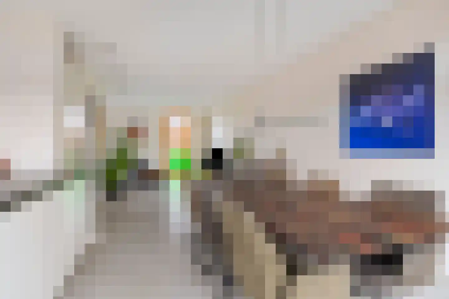 Paradijsvogelstraat 41 Groningen thumbnail 5