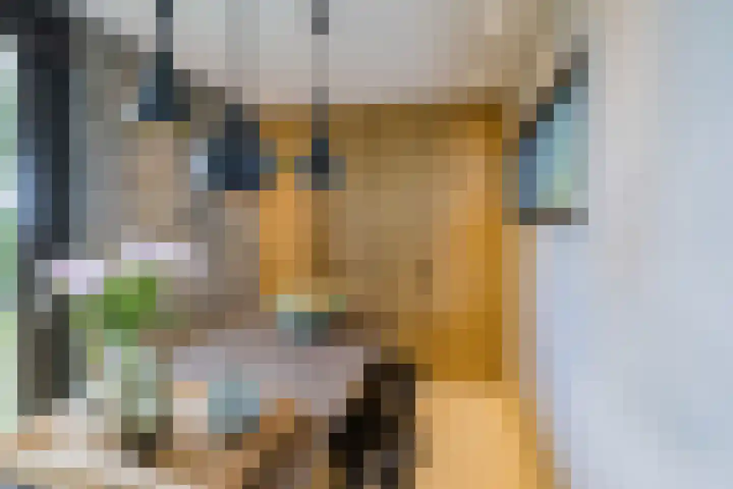 Paradijsweg 102 A Ter Aar thumbnail 10