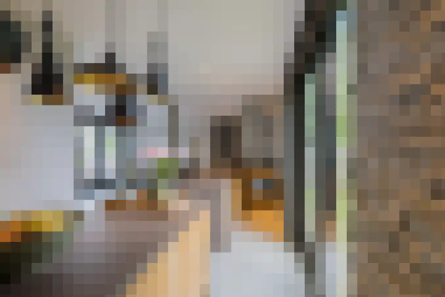 Paradijsweg 102 A Ter Aar thumbnail 11