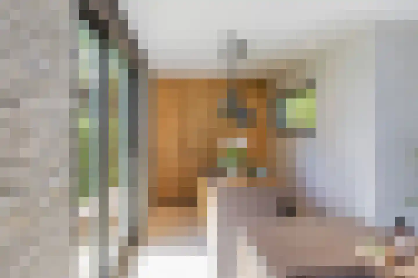 Paradijsweg 102 A Ter Aar thumbnail 14