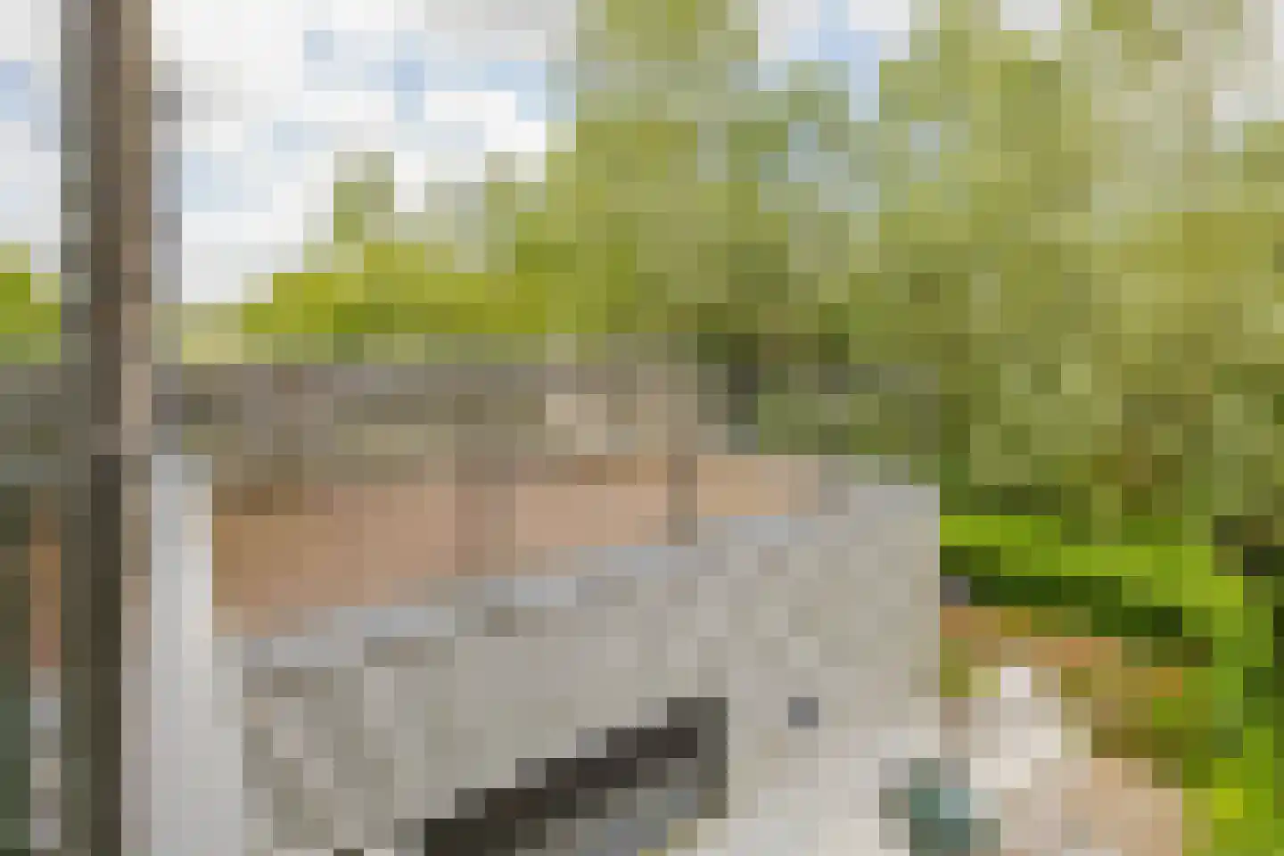Paradijsweg 102 A Ter Aar thumbnail 22