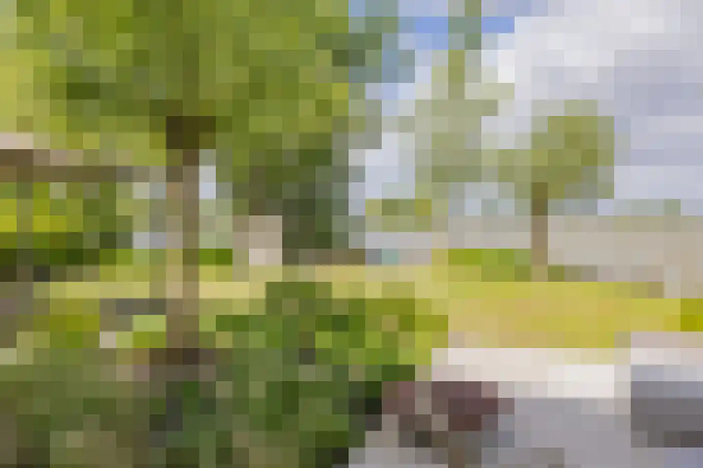 Paradijsweg 102 A Ter Aar thumbnail 30