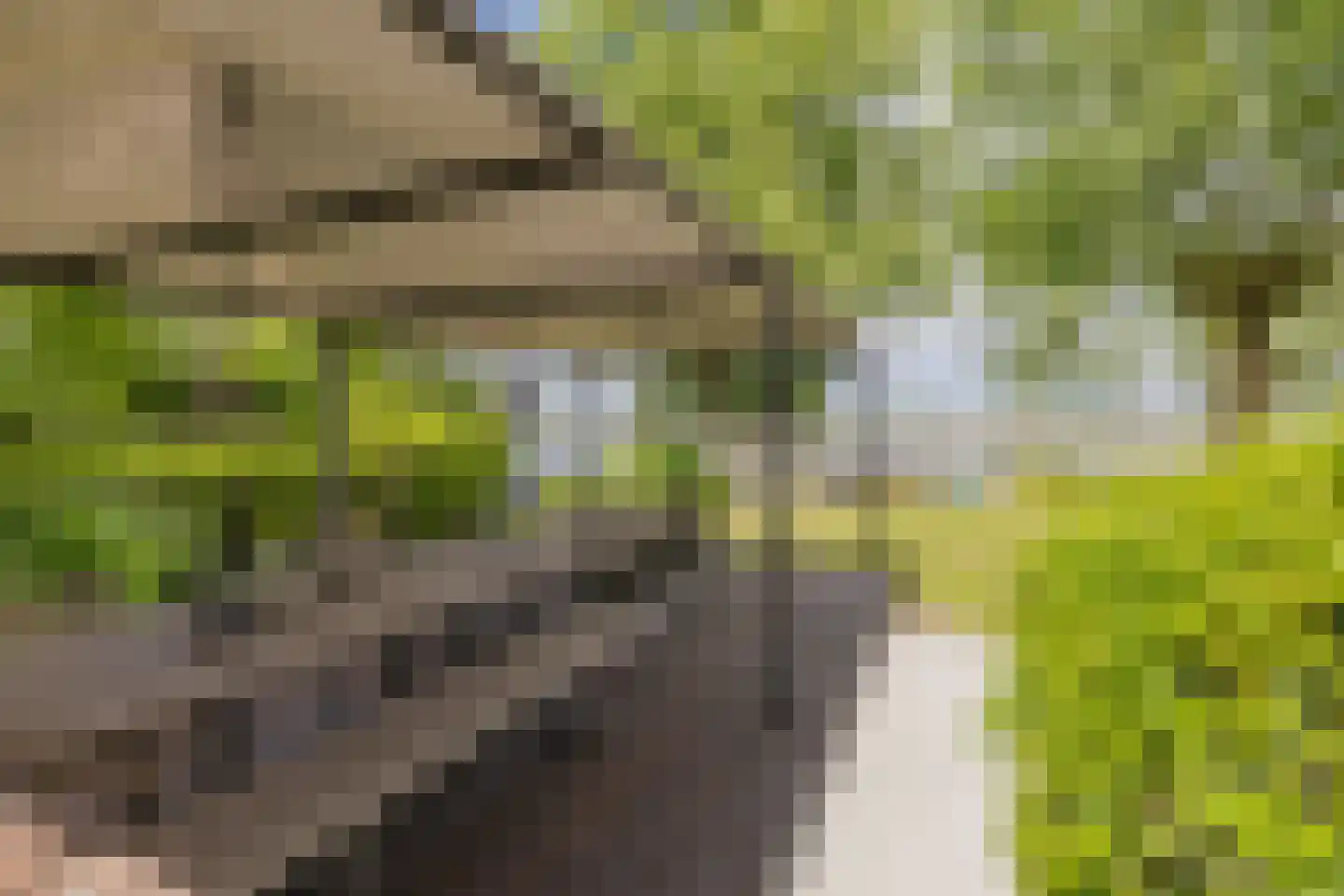 Paradijsweg 102 A Ter Aar thumbnail 31
