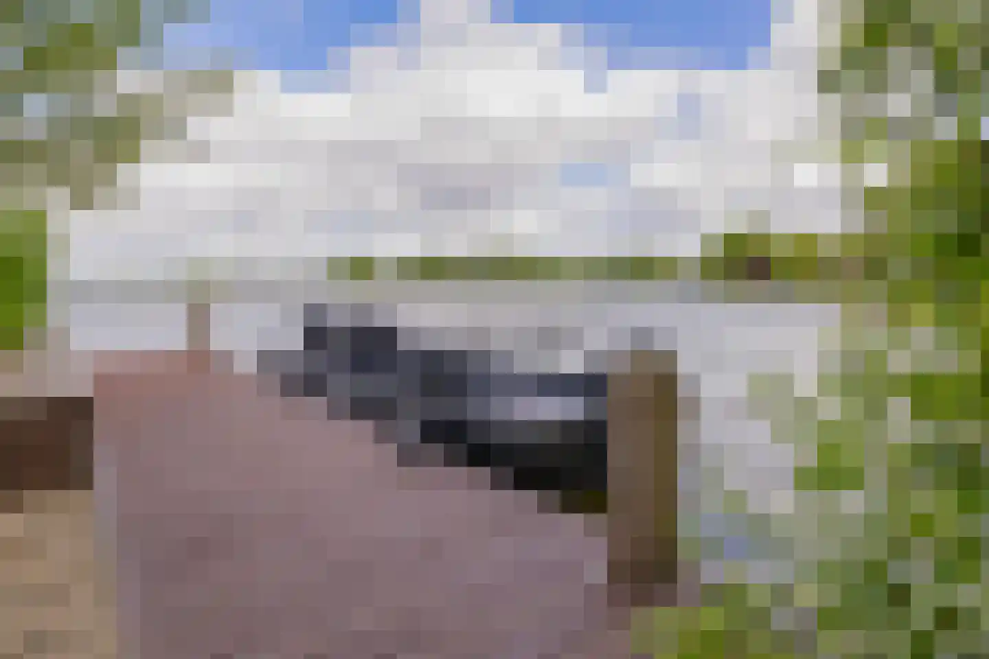 Paradijsweg 102 A Ter Aar thumbnail 35