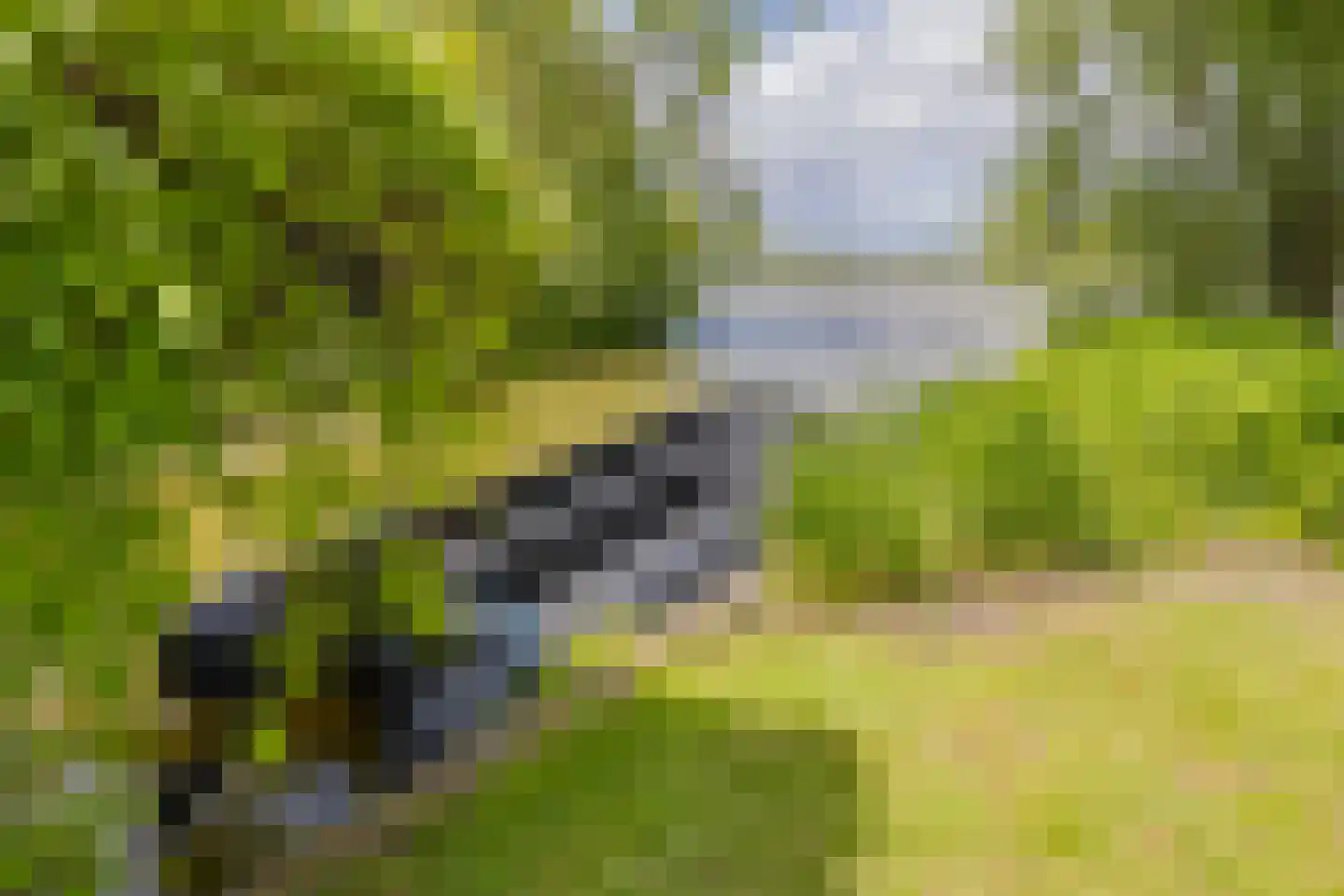 Paradijsweg 102 A Ter Aar thumbnail 36