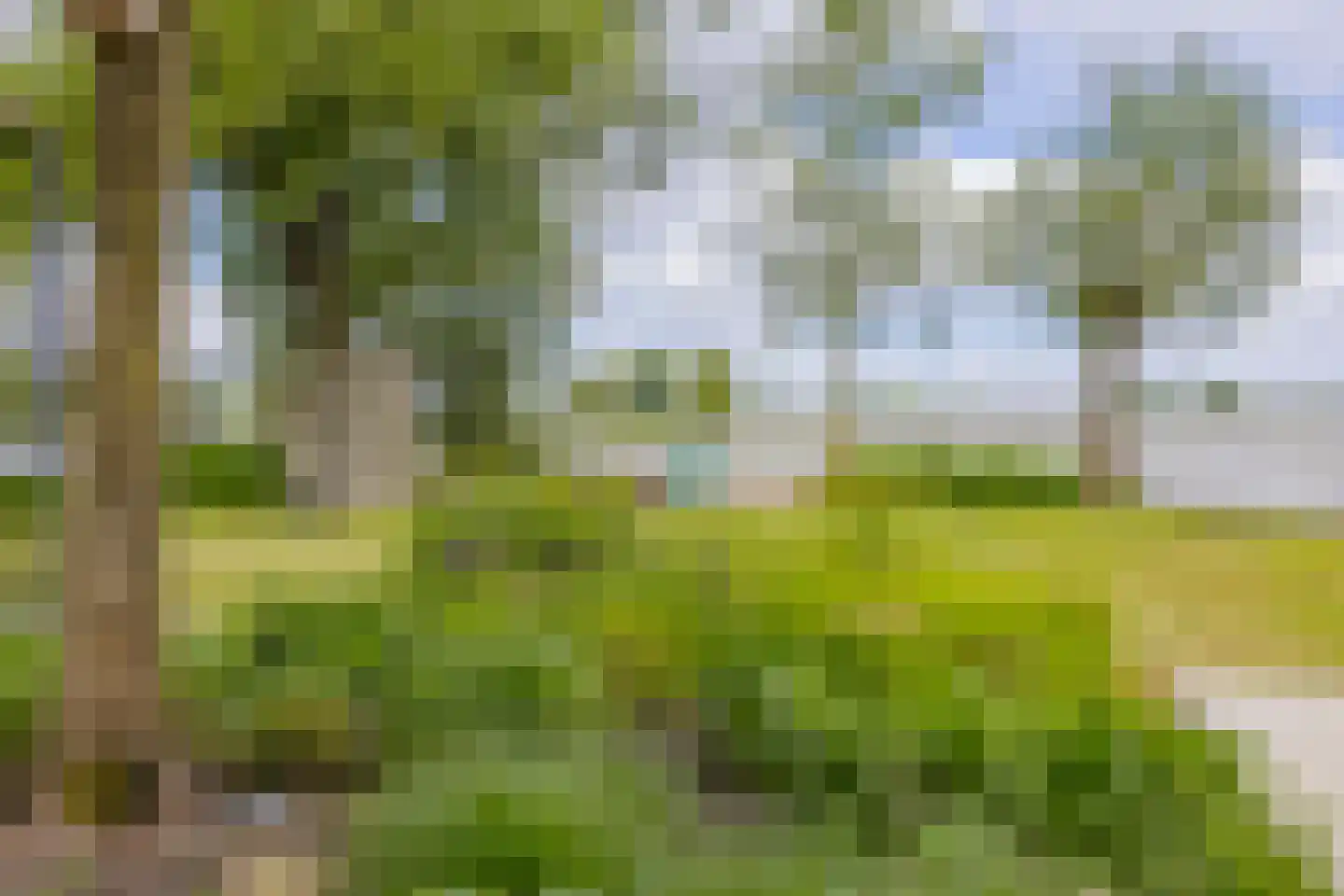 Paradijsweg 102 A Ter Aar thumbnail 38