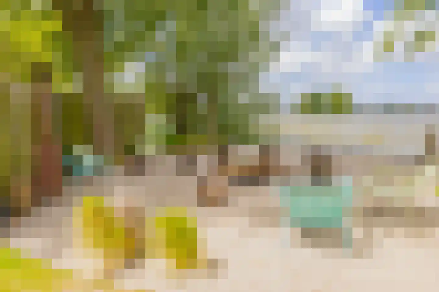 Paradijsweg 102 A Ter Aar thumbnail 42