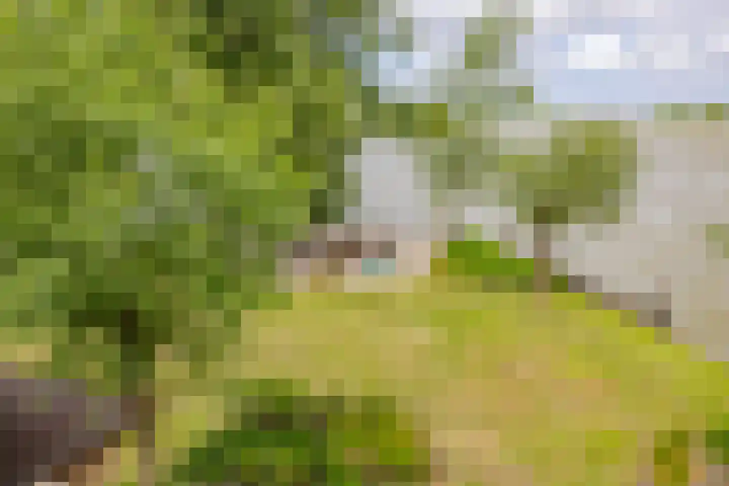 Paradijsweg 102 A Ter Aar thumbnail 44
