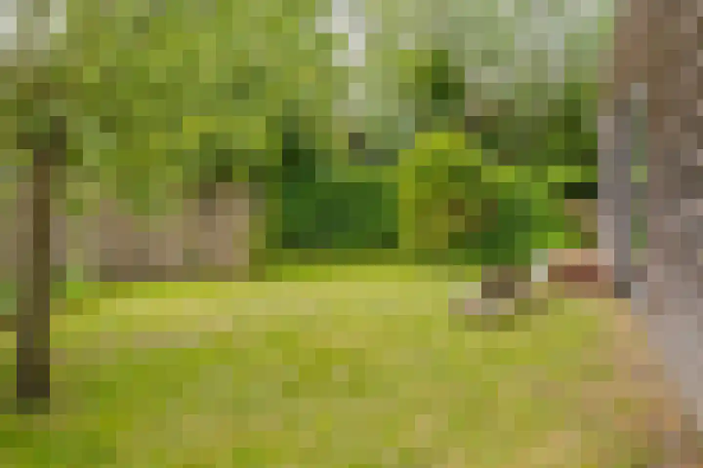 Paradijsweg 102 A Ter Aar thumbnail 46
