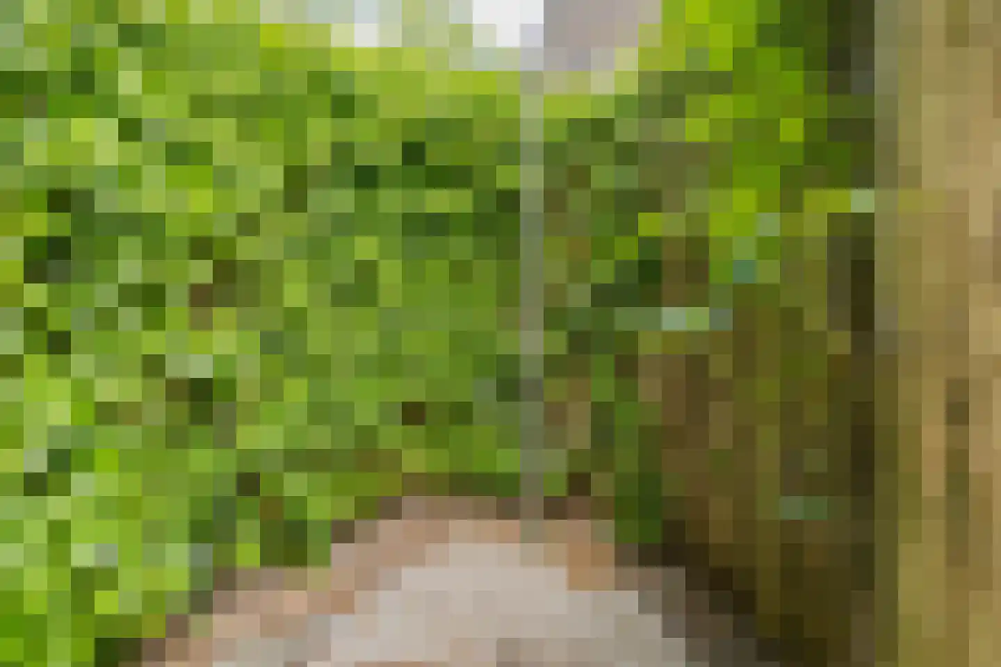 Paradijsweg 102 A Ter Aar thumbnail 47