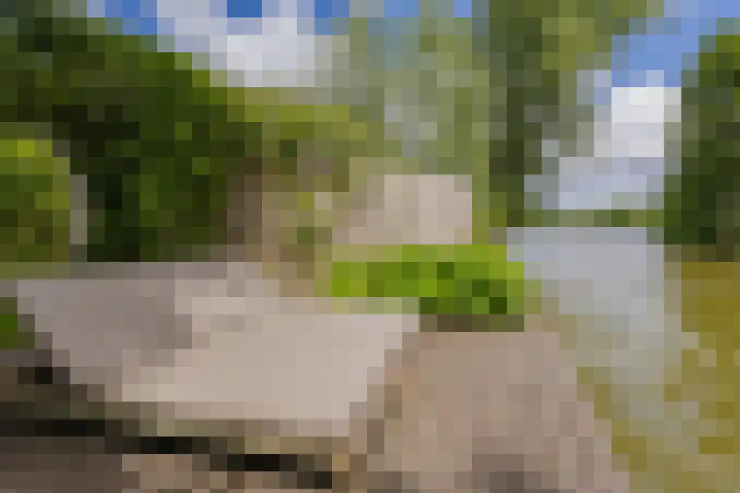 Paradijsweg 102 A Ter Aar thumbnail 49