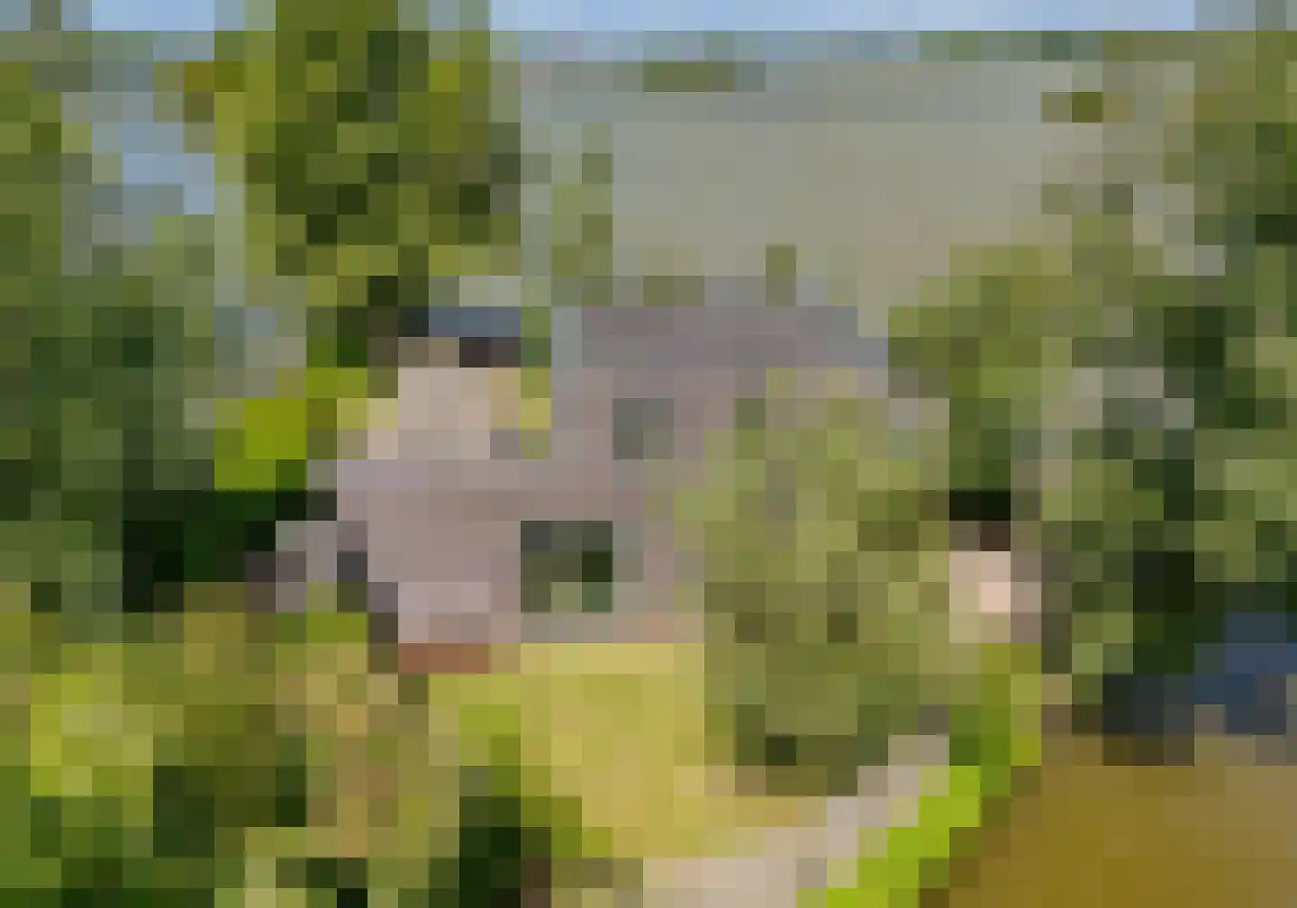 Paradijsweg 102 A Ter Aar thumbnail 52