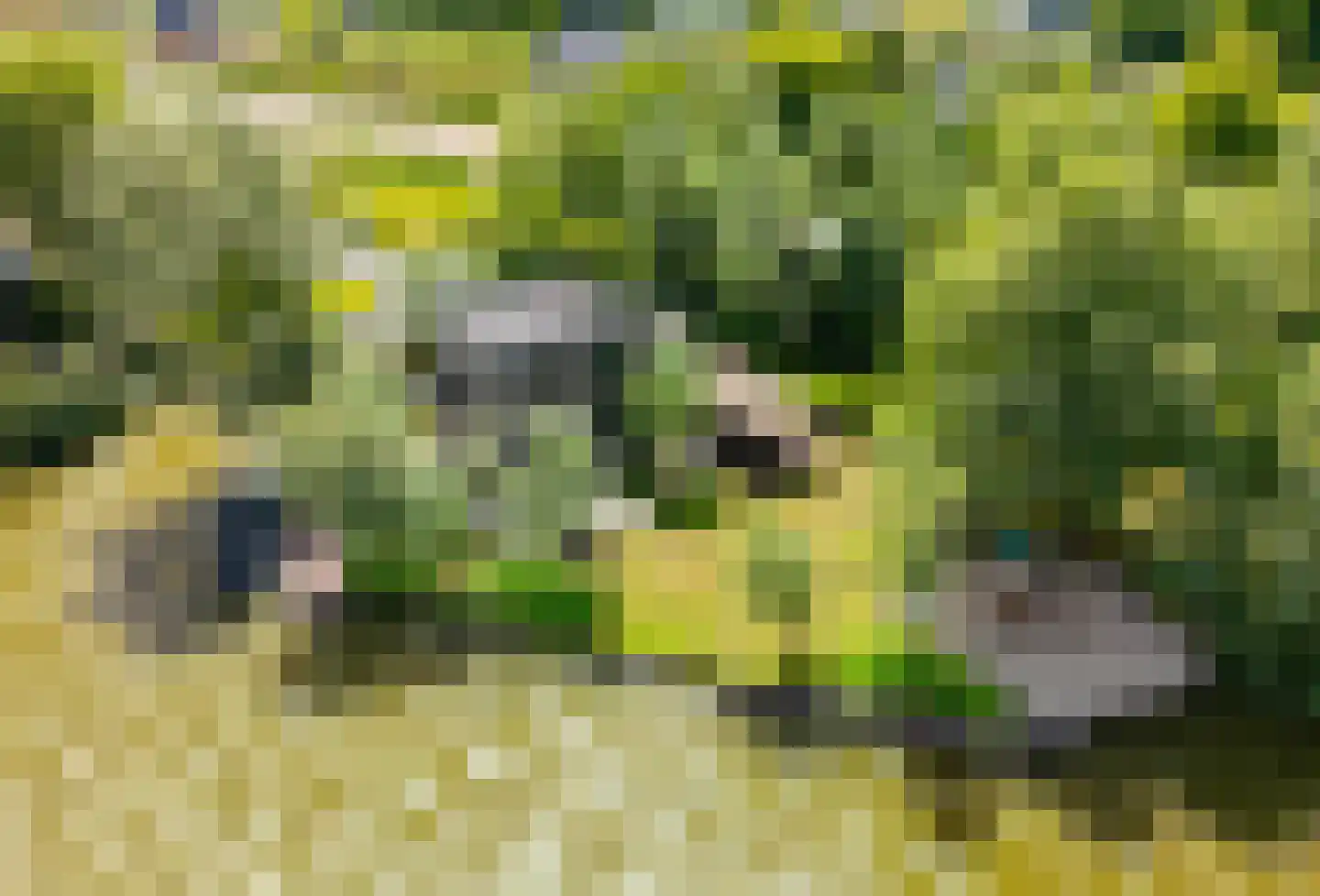 Paradijsweg 102 A Ter Aar thumbnail 53