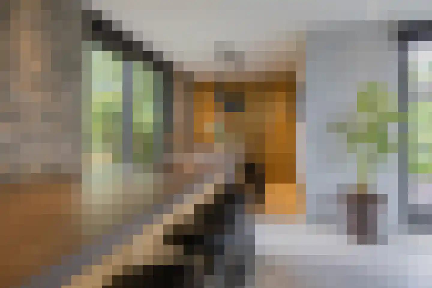 Paradijsweg 102 A Ter Aar thumbnail 9