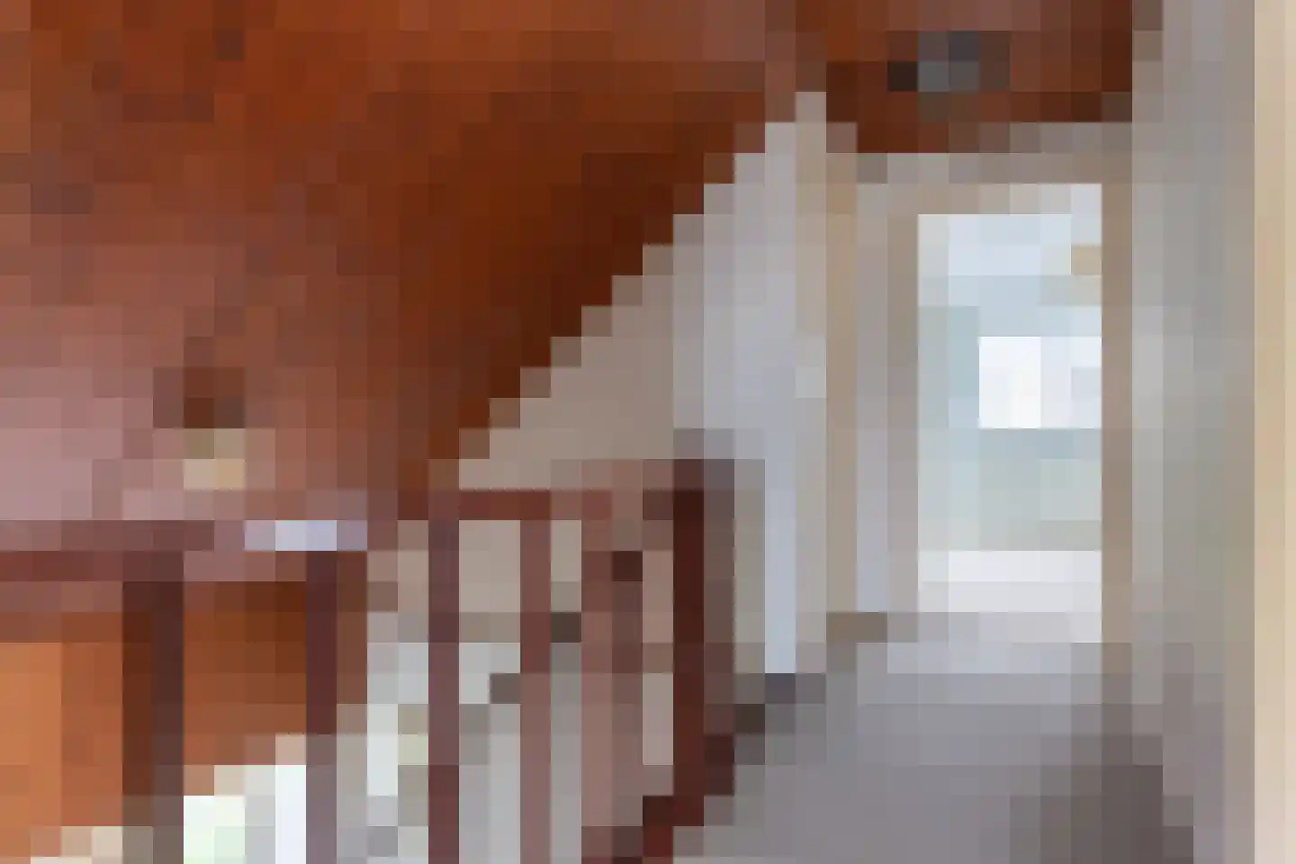 Paradijsweg 11 Ter Aar thumbnail 26