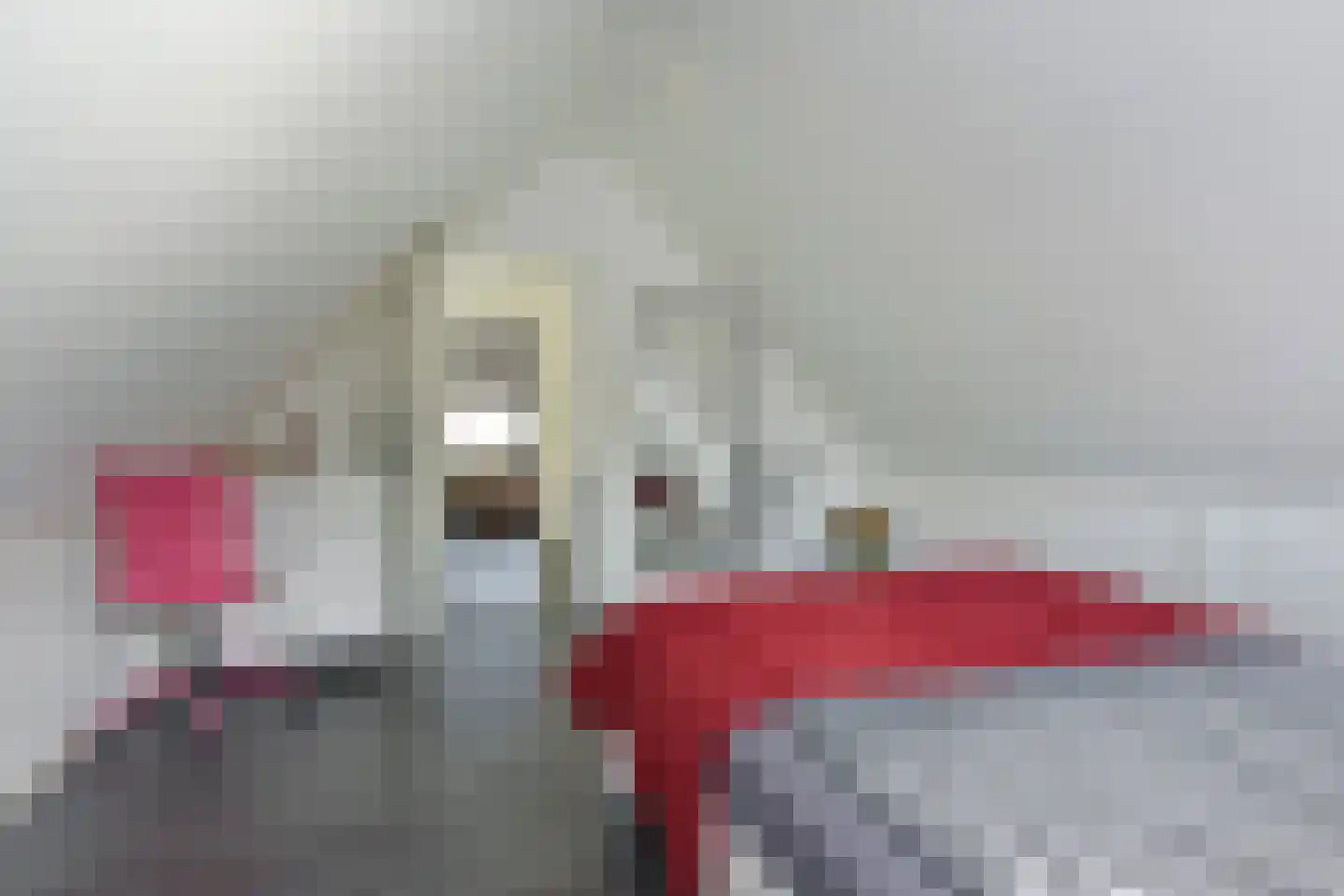 Paradijsweg 62 Ter Aar thumbnail 29