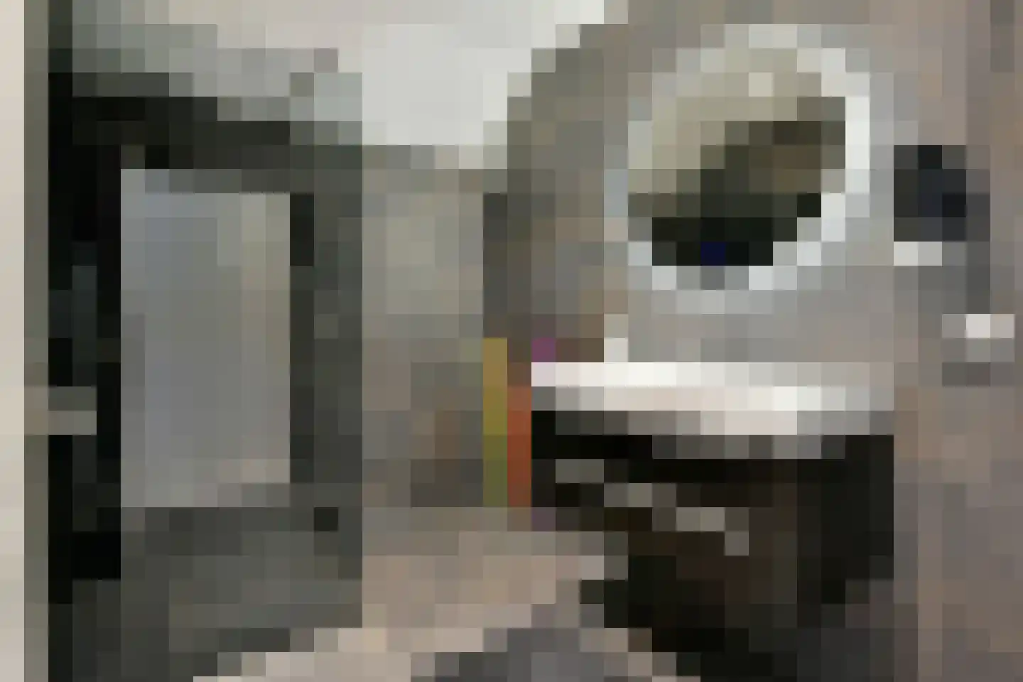 Paradijsweg 62 Ter Aar thumbnail 7