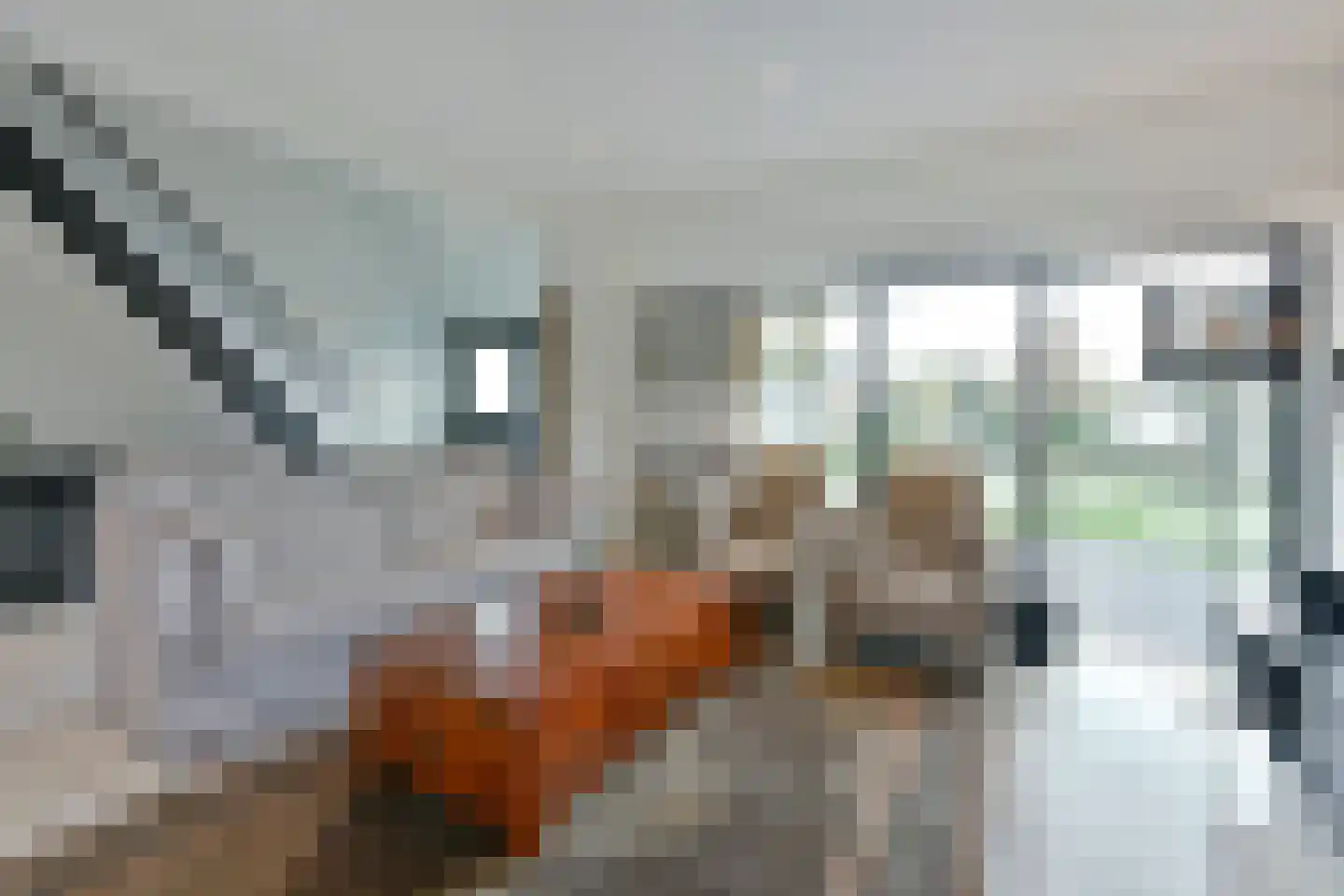 Paradijsweg 62 Ter Aar thumbnail 8