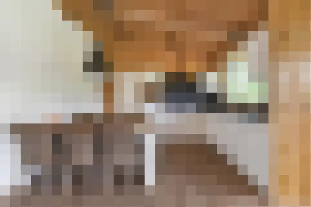 Paradijsweg 76 A Ter Aar thumbnail 12