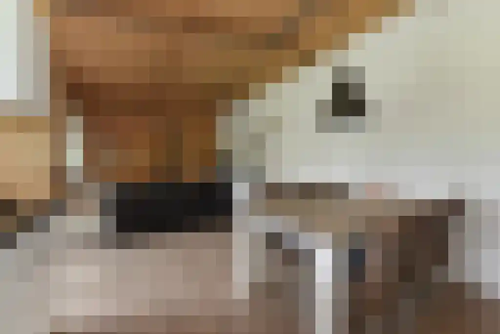 Paradijsweg 76 A Ter Aar thumbnail 14